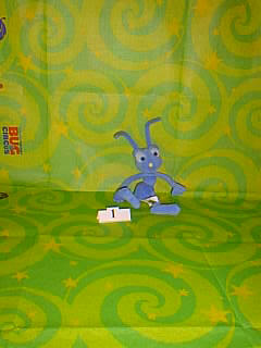 Bug Picture