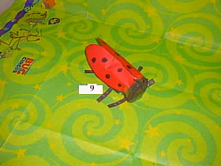 Bug Picture
