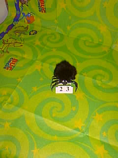 Bug Picture