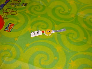 Bug Picture
