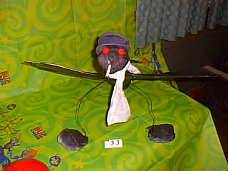 Bug Picture