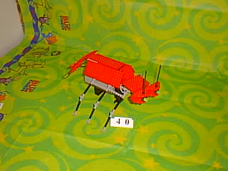 Bug Picture