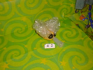 Bug Picture