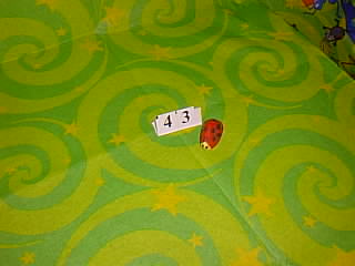 Bug Picture