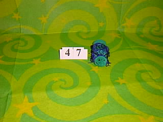 Bug Picture