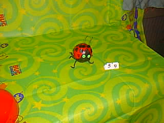 Bug Picture